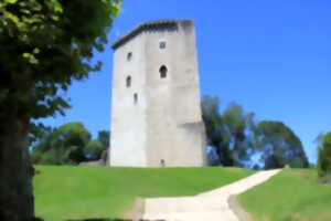 Visite : Château Moncade