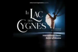 photo Le lac des cygnes