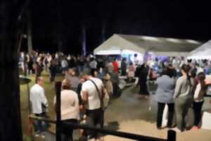 photo Grand festival de danses et de musique des îles