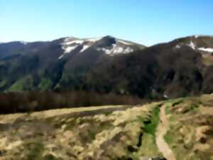Club Vosgien : Le Cervin des Vosges