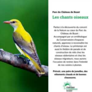 photo Fête de la Nature : Découverte des chants d'oiseaux