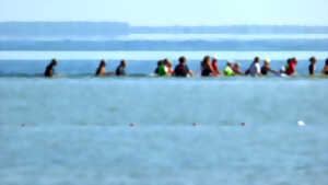 Marche aquatique / longe-côte lacustre à Sanguinet