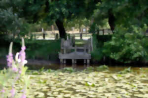 Ateliers pêche nature