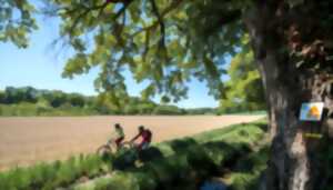 Les Drôle's Color 2