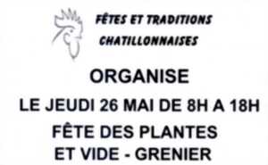 photo Fête des plantes et vide-greniers