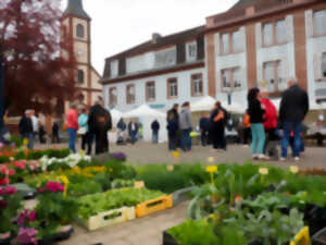 photo Fête de l'écotourisme