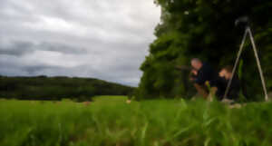 photo Soirée affût et observation de la faune sauvage