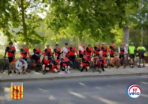 photo Fête du vélo