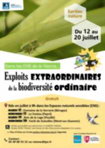 Exploits extraordinaires de la biodiversité ordinaire
