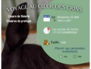 photo Voyage au coeur des crins Stage massage équin aux écuries de Serres