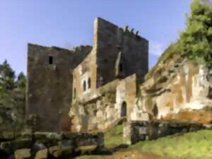 photo Tous aux châteaux : visites guidées du château de la Wasenbourg