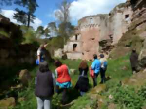 photo Tous aux châteaux : Visite guidée du Schoeneck