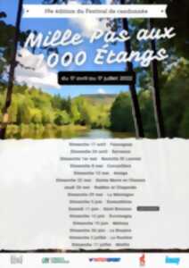 photo Mille Pas aux 1000 Étangs