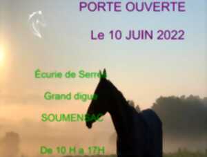 photo Voyage au coeur des crins Stage massage équin aux écuries de Serres