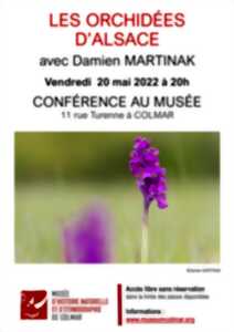 Conférence les orchidées d'Alsace