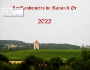 photo Les randonnées du Raisin d'Or : Sigoulès