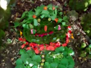 Nature de Contes, labo des contes pour les 3-6 ans