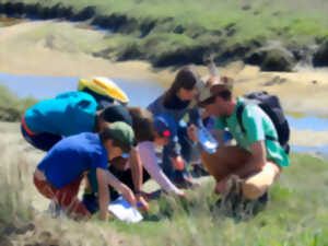 Naturalistes en herbe ! - pour les Bambins