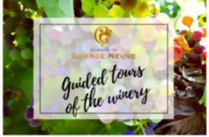 photo Guided tour & local produces | Domaine de Grange Neuve