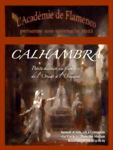 L'académie de flamenco : Calhambra