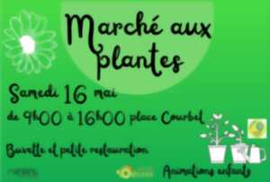 Marché aux plantes