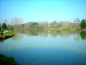 Randonnée pédestre à Le Bény-Bocage