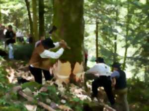 photo FÊTE DU SCHLITTAGE ET DES VIEUX MÉTIERS DE LA FORÊT