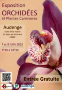 photo Exposition d'orchidées et plantes carnivores