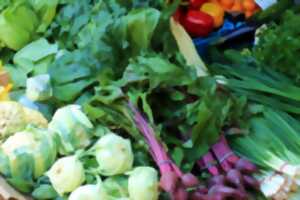 Marché de printemps aux Hayes