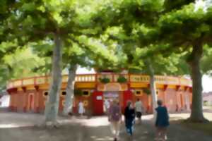 Visite guidée des Arènes de Gabarret