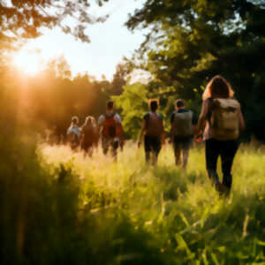 photo Marche du terroir