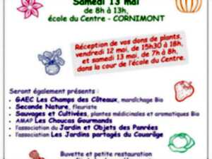 photo Marché aux plantes