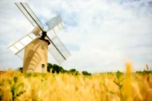 photo Fête de la moisson - Moulin de Cussol