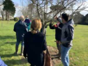 Malagar Autrement - Atelier bouturage dans le parc