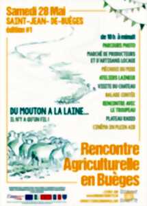 DU MOUTON A LA LAINE... IL N'Y A QU'UN FIL : RENCONTRE AGRICULTURELLE EN BUEGES