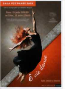 photo Gala de danse : Turlu-Tutu