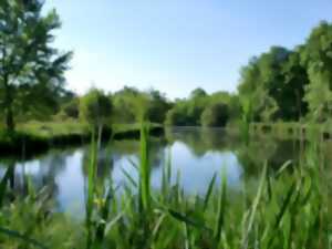 Breathwalk sur le site naturel du Moron