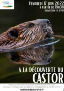 photo A la découverte du Castor