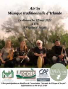 photo Concert - Air'in , musique traditionnelle d'Irlande