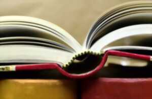Fête du Livre et des Libraires