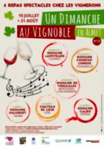Un dimanche au Vignoble en Albret