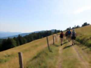 photo Sortie pédestre : les volcans du Rossberg