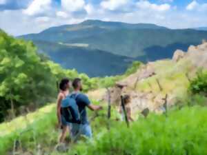 photo Jeu de piste familial