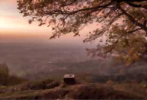 photo Fête de la nature