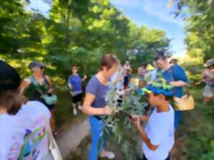 photo Tressage vagabond 