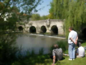 photo Visite commentée de la Bastide de Saint-Aulaye