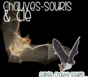 CHAUVE-SOURIS & CIE !