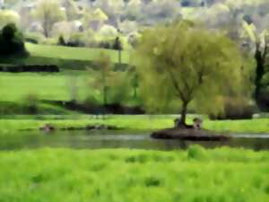 photo Pêche à l'étang