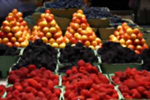 photo Marché d'Ouzouer-sur-Loire - Dimanche