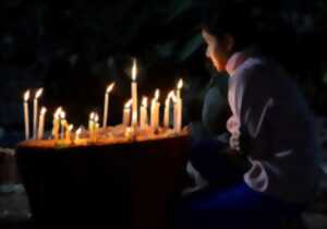 Les Illuminations du Cimetière des Plantes disparues